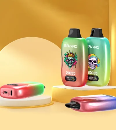 High Performance 18ML Disposable Vape 650mAh Chargeable Dual Mesh Coil Leak-Resistant Body