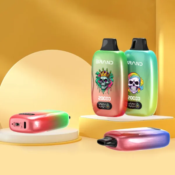 High Performance 18ML Disposable Vape 650mAh Chargeable Dual Mesh Coil Leak-Resistant Body