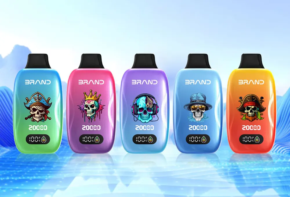    High Performance 18ML Disposable Vape 650mAh Chargeable Dual Mesh Coil Leak-Resistant Body  