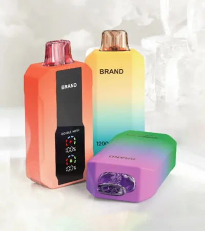 Modern Stylish Color Gradient Body with 16ml E-Liquid Vape Device 650mAh Type-C Charging