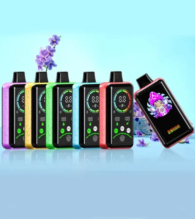 Premium Big Capacity 22ML Smart Vape Device 850mAh Dual Mesh Leak-Resistant with Large Display
