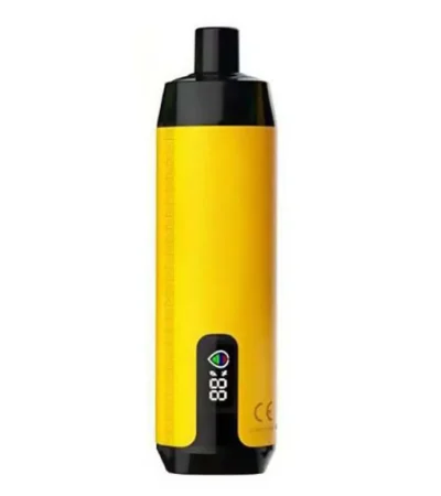30000 Puff DTL High Capacity Disposable Vape Wholesale Vape Supplier & OEM Manufacturer