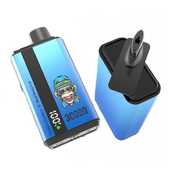 35000 Puffs Dual Flavor Disposable Vape with 8ML+8ML E-Liquid