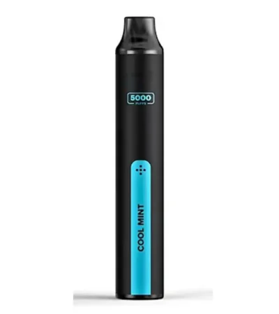 5000 Puff Rechargeable Disposable Vape with Type-C Charging Portable High Puff Vape for Retail