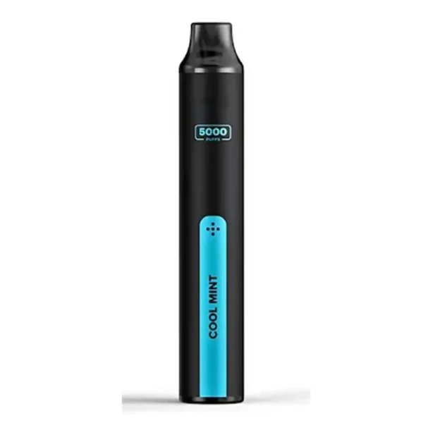 5000 Puff Rechargeable Disposable Vape with Type-C Charging Portable High Puff Vape for Retail
