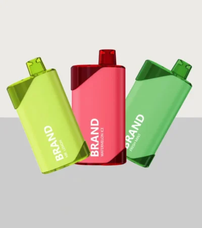 5000 Puffs Rechargeable Disposable Vape OEM ODM Vape Manufacturer for Wholesale Supply (3)5000 Puffs Rechargeable Disposable Vape OEM ODM Vape Manufacturer for Wholesale Supply (3)