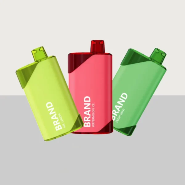 5000 Puffs Rechargeable Disposable Vape OEM ODM Vape Manufacturer for Wholesale Supply (3)5000 Puffs Rechargeable Disposable Vape OEM ODM Vape Manufacturer for Wholesale Supply (3)
